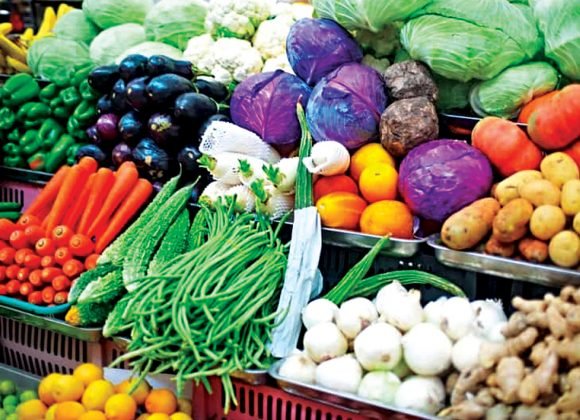 Nagpur Organic Farm: Local Produce Goes Digital